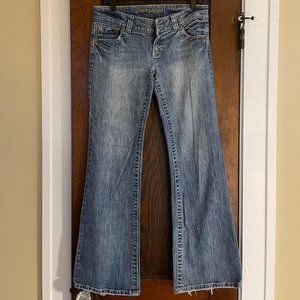 Fit & FLARE - American Eagle Outfitters Vintage Y2K Boyfriend Jeans Size 8